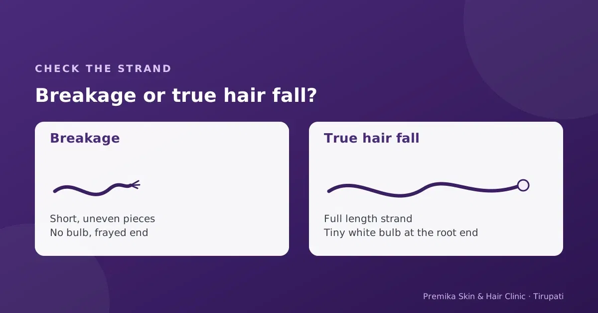 Comparison of a broken hair strand with no bulb and a fallen hair with a white bulb at the root end